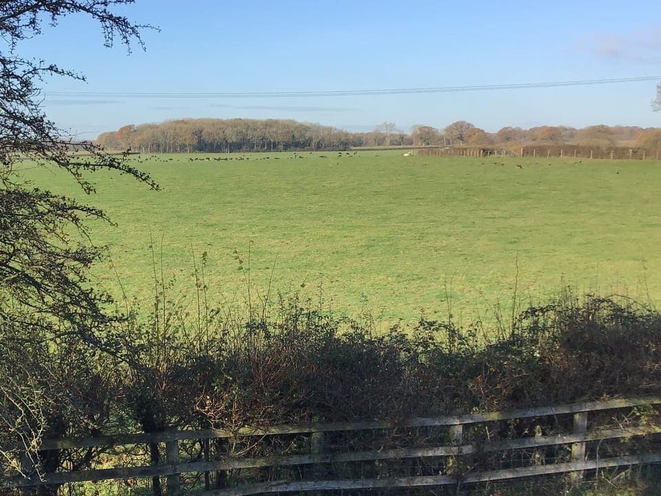 Deluxe Double Room, Ensuite | View from property