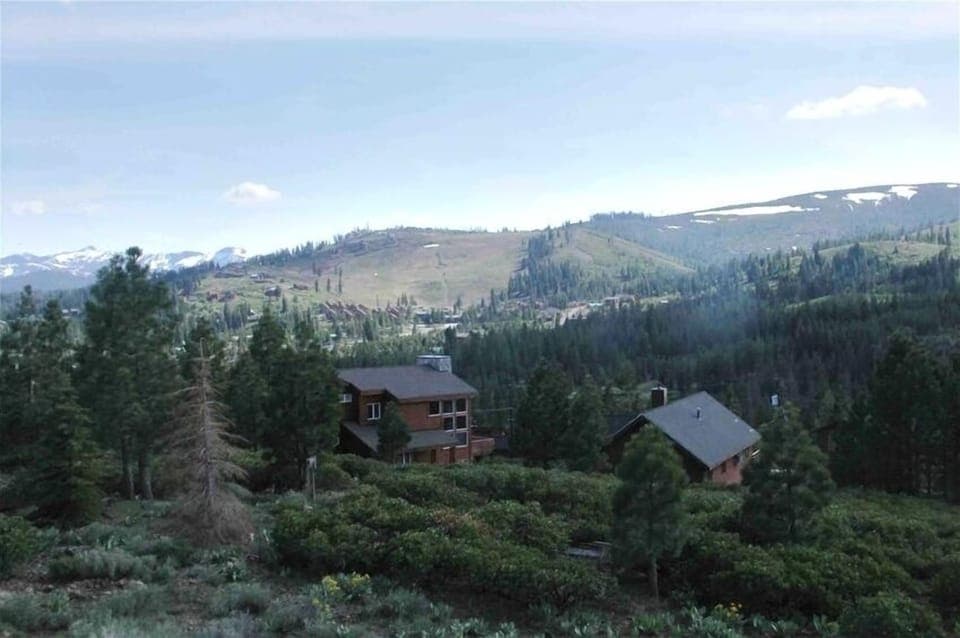 View from the back deck in summer