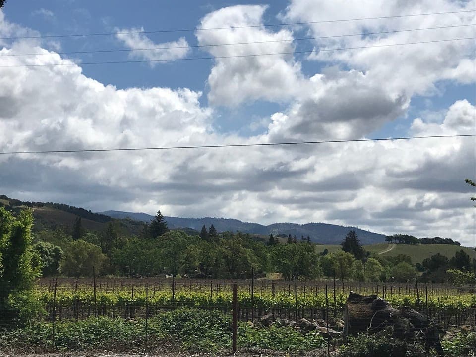 view from side yard and driveway