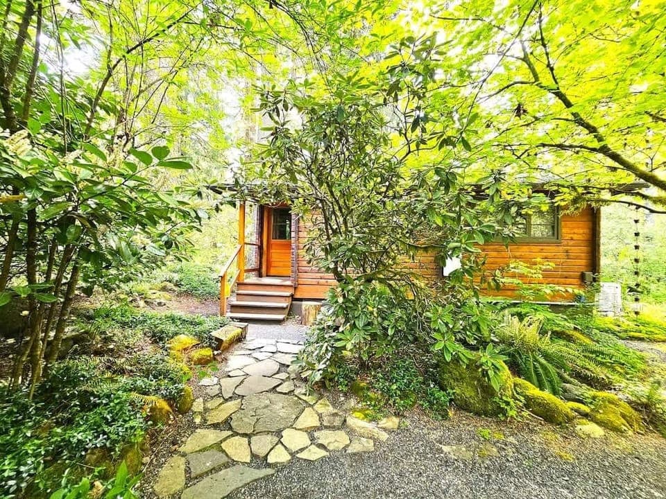 Just a few more steps away from our Woodsy Dream Cabin.