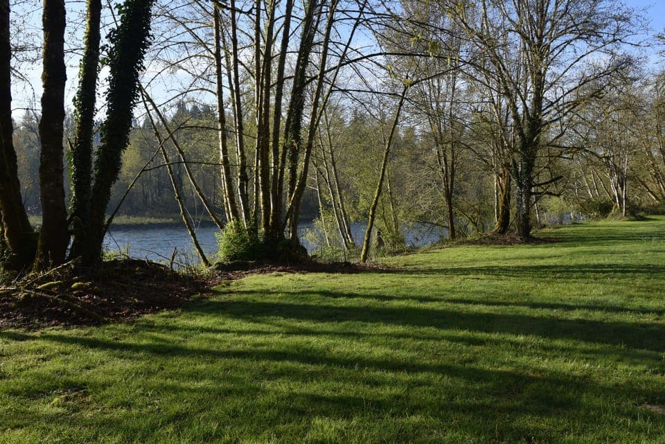 lower lawn, early spring