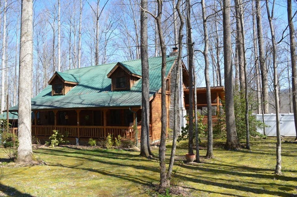 Welcome to Three Little Birds!