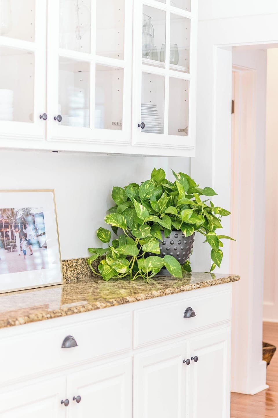 China buffet in kitchen