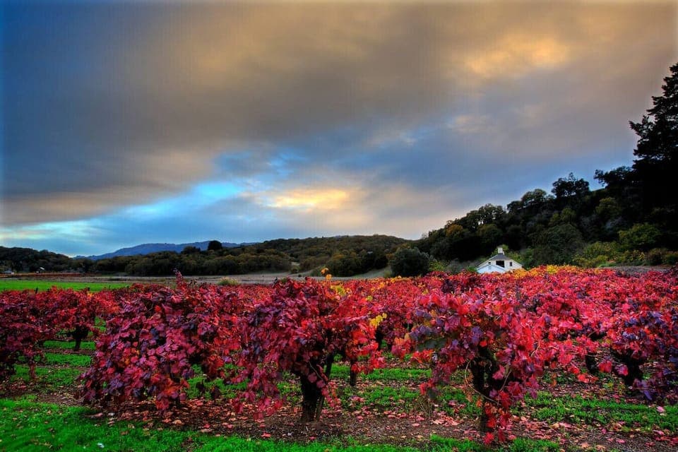 Pagani Ranch in Kenwood