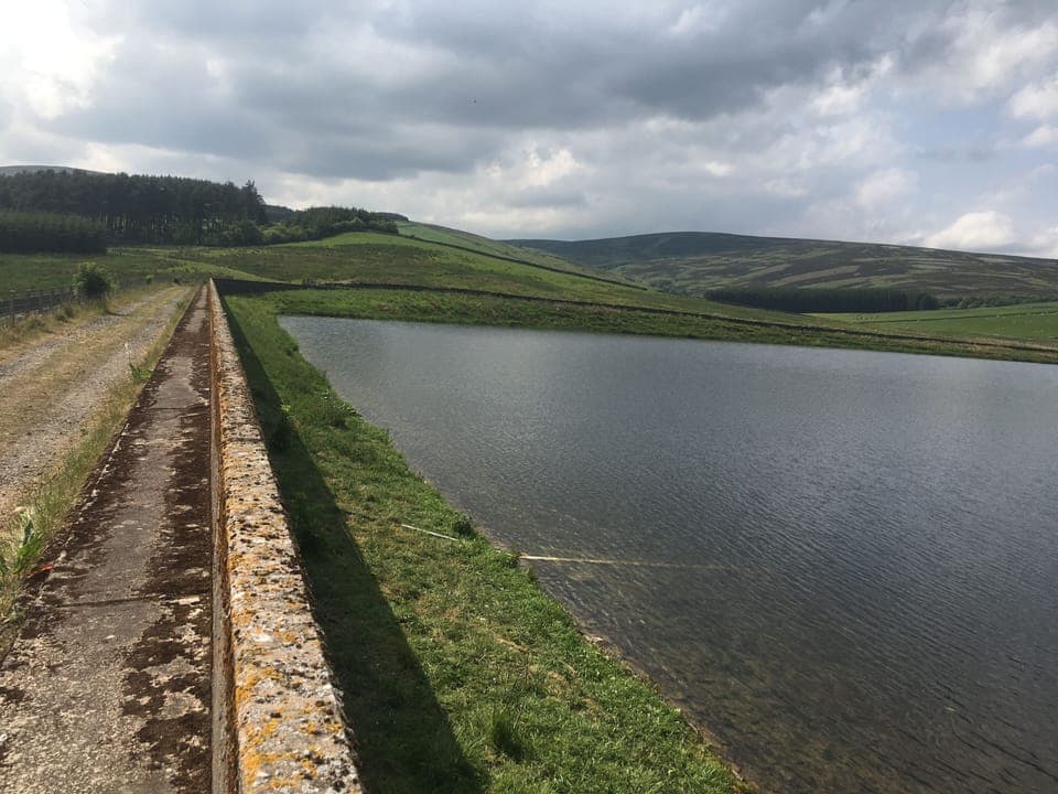 Walk / drive along the dam, and enjoy the wild brown trout fishing 