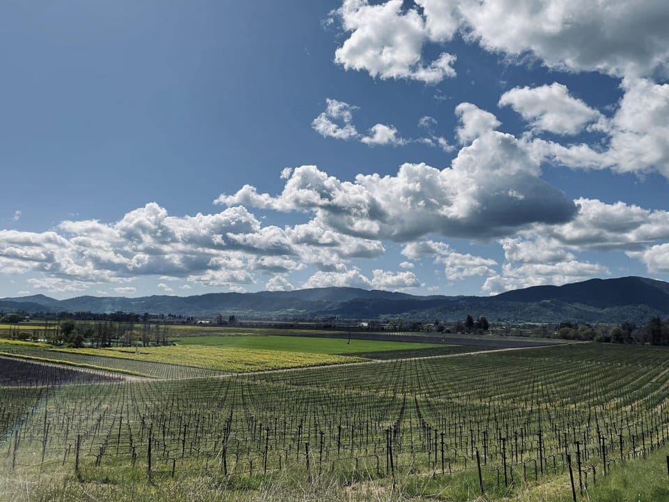 Stunning vineyards just minutes away