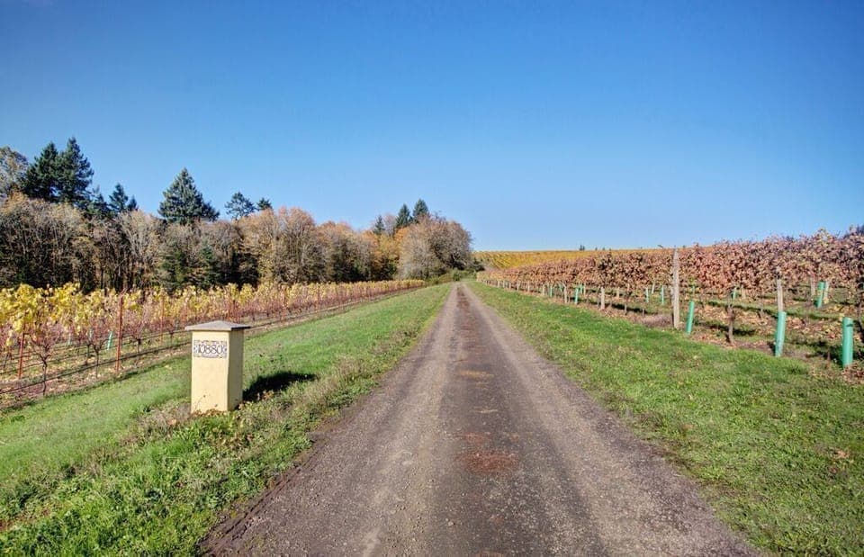 Look for the little yellow post when entering the property!