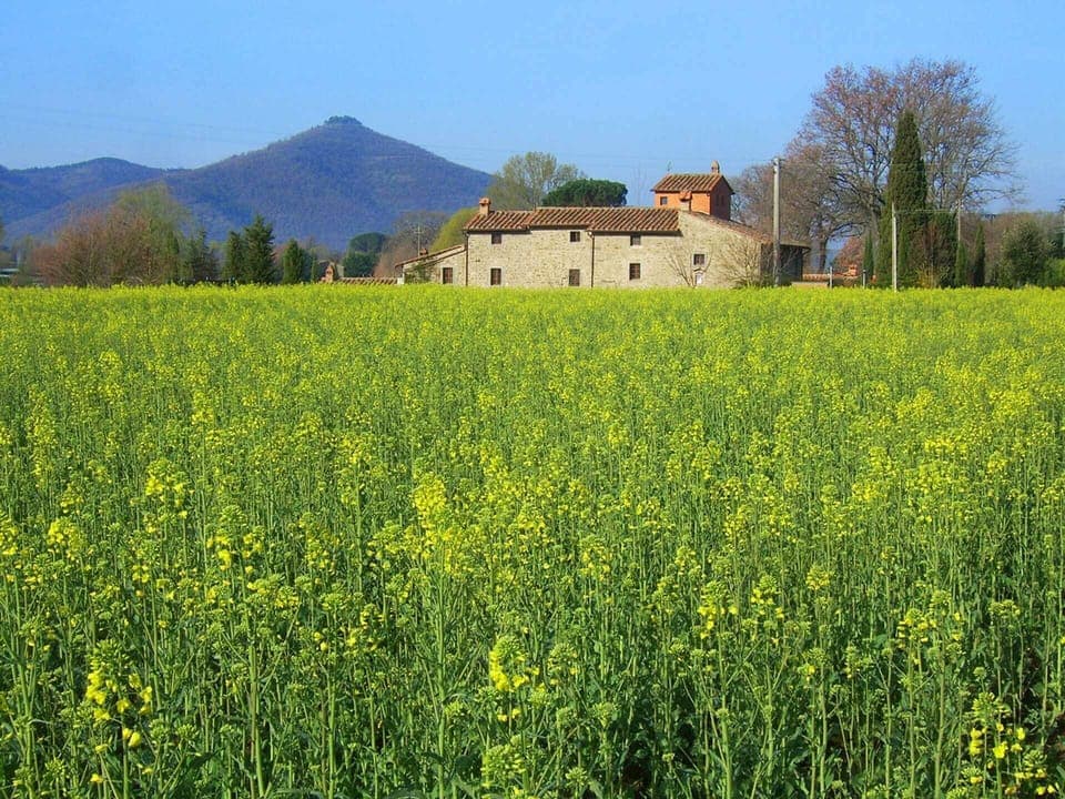 Surrounded by Nature