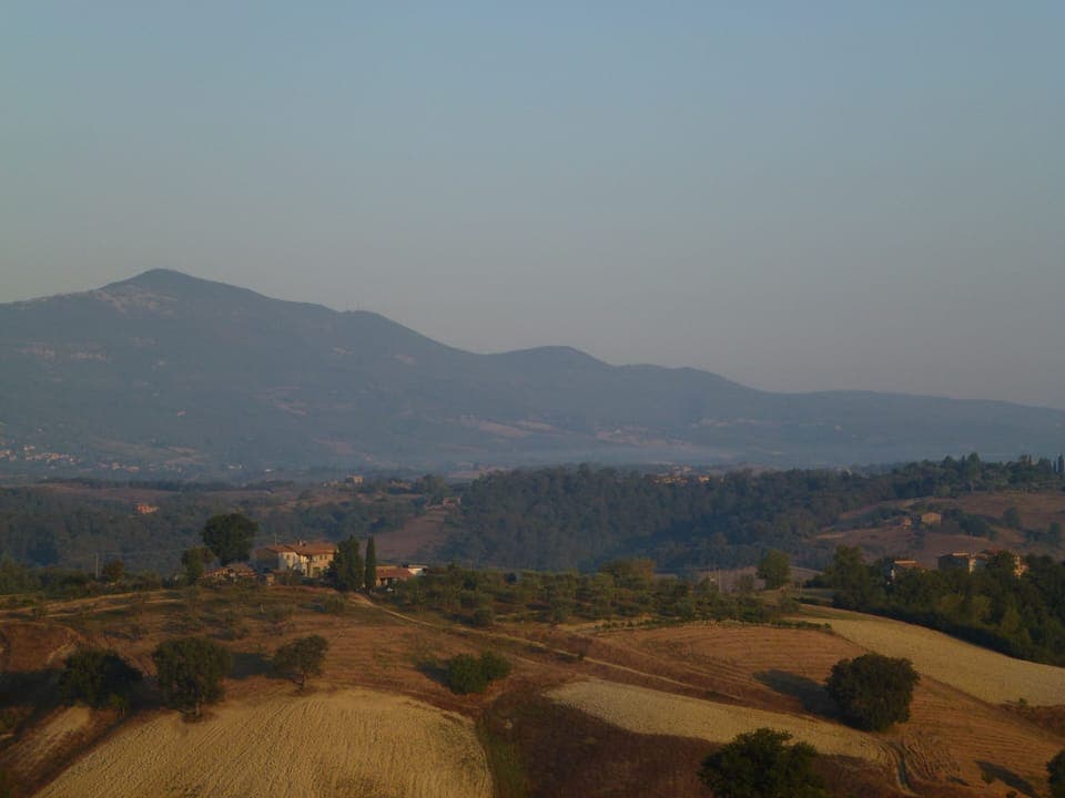 View from bedroom window 