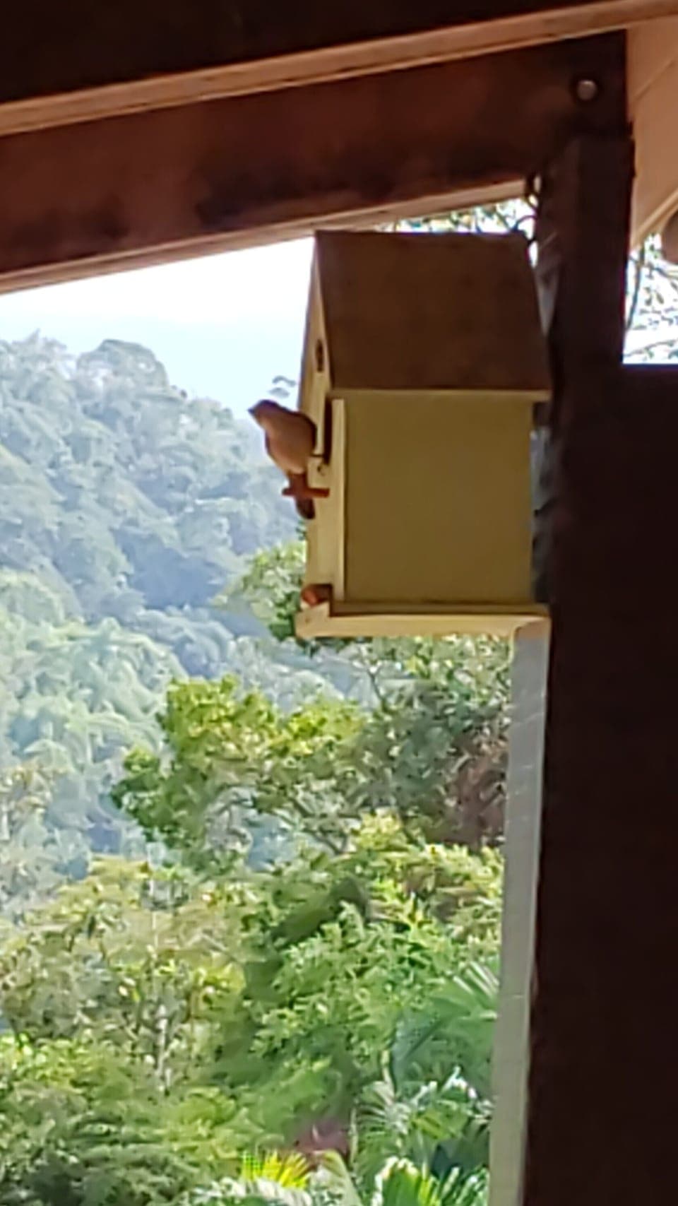 View from property