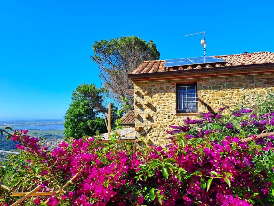 Rustico la Tinaia in the garden