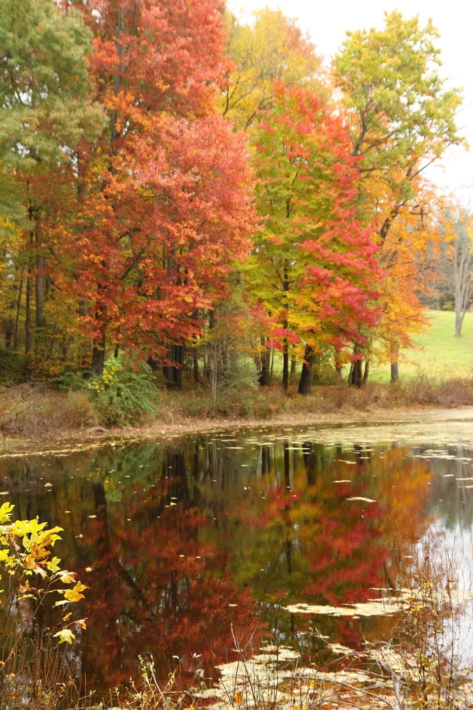 Nature, color, water, space.