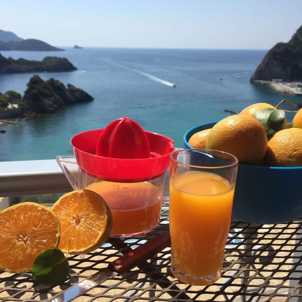 Apartment, 1 Bedroom, Sea View (04) | Balcony