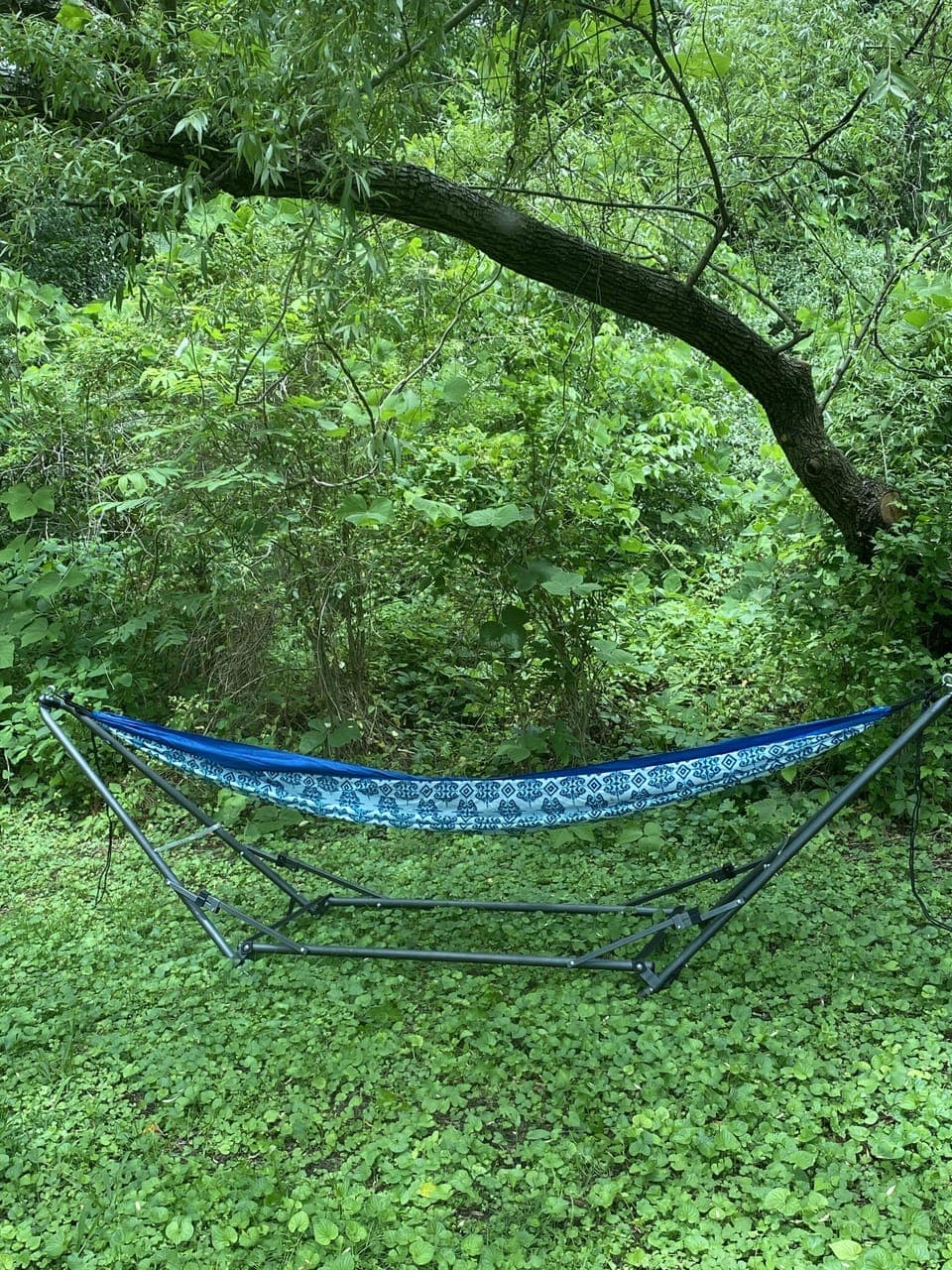 One of the hammocks on the property under the Weeping Willow down by the creeks.