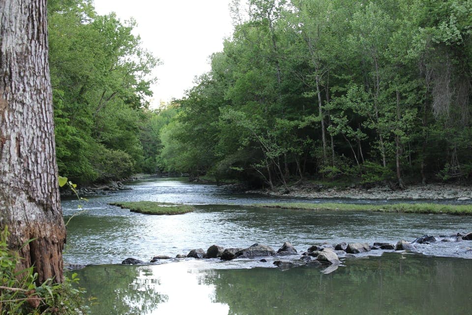 Little Missouri River at the Old Factory Site Access.