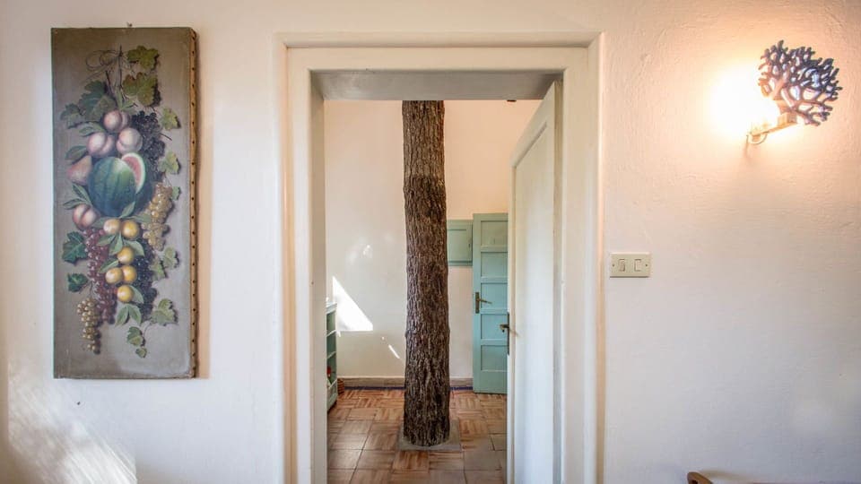 Dining Room, Living Room