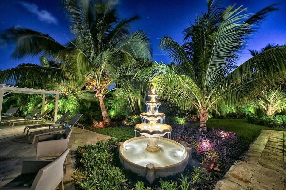 Fountains and Palms are Lighted at night