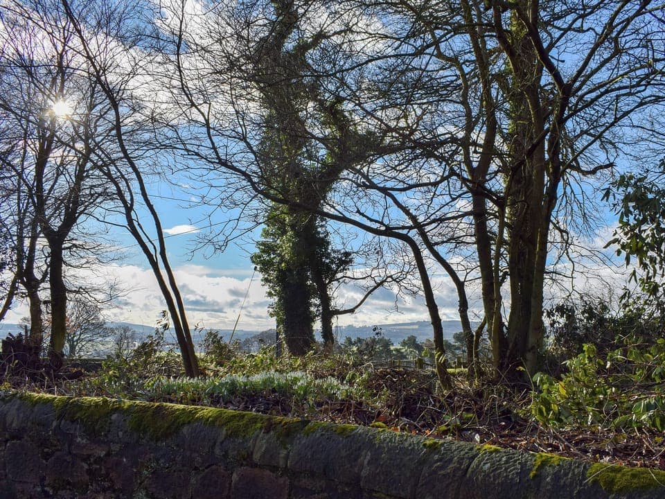 Garden and grounds | The Horsemill, Kelty, near Dunfermline 