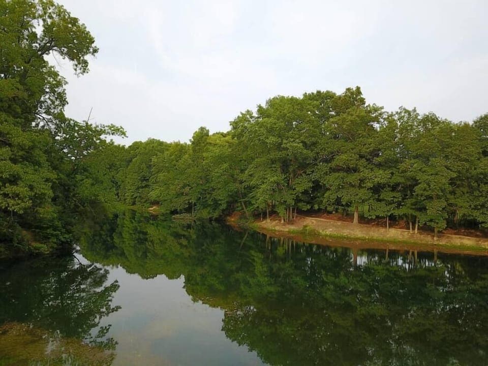 Our Pastor Baggett Lake is a catch and release fishing lake located in the park. 