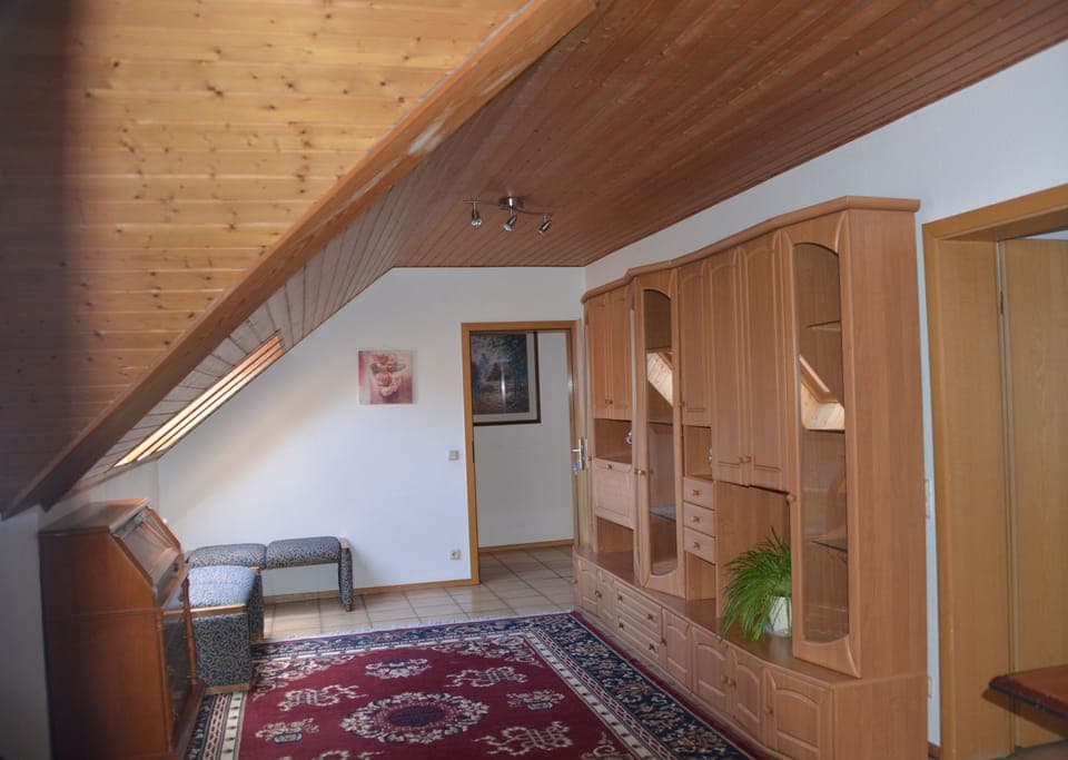 Flat-screen TV, Netflix, pay movies, streaming services