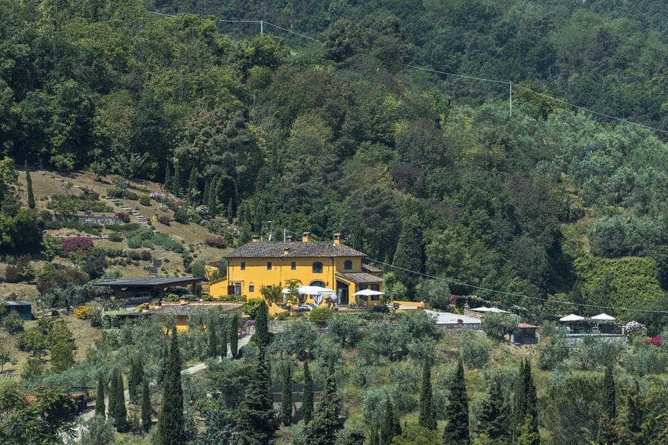 Hill Station, Vegetation, Mountain Village, Tree, Hill, Rural Area, Village, House, Forest, Mountain
