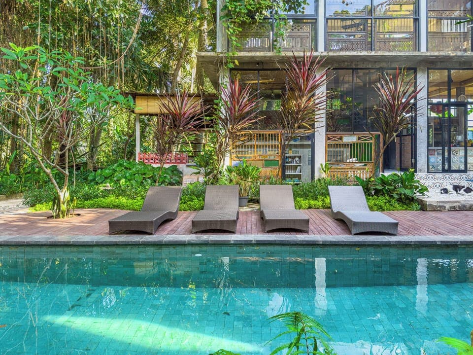 Outdoor pool, sun loungers