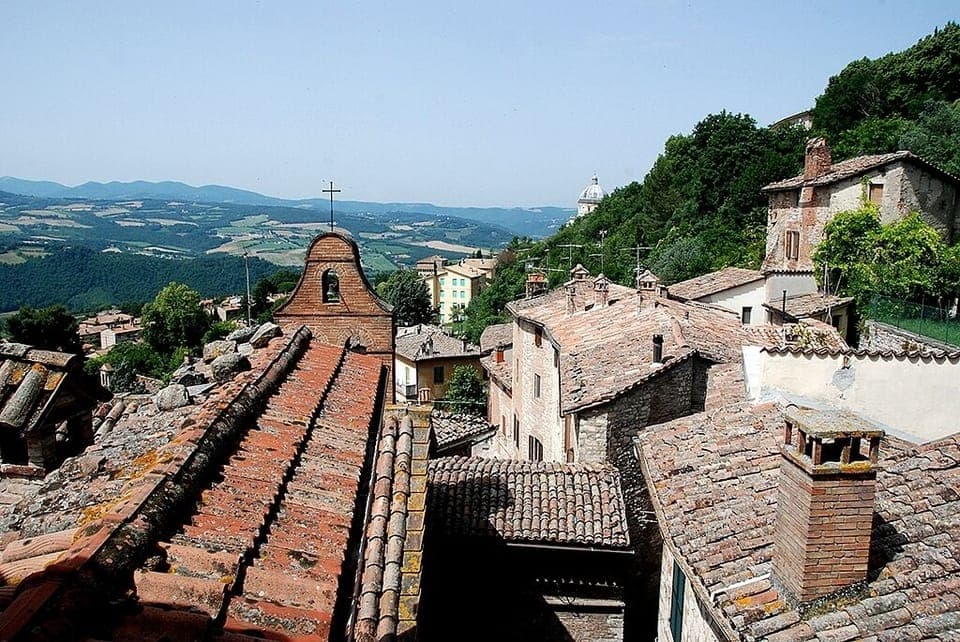 View from the kitchen