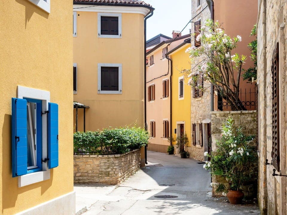 Plant, Window, Property, Building, Azure, Road Surface, Sky, Neighbourhood, House