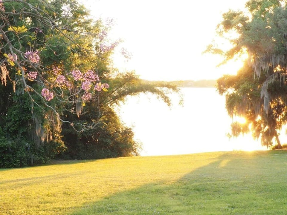 Sunny view of lake