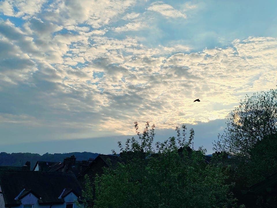 Premier Single Room, Ensuite, Garden View (Herdwick) | View from property