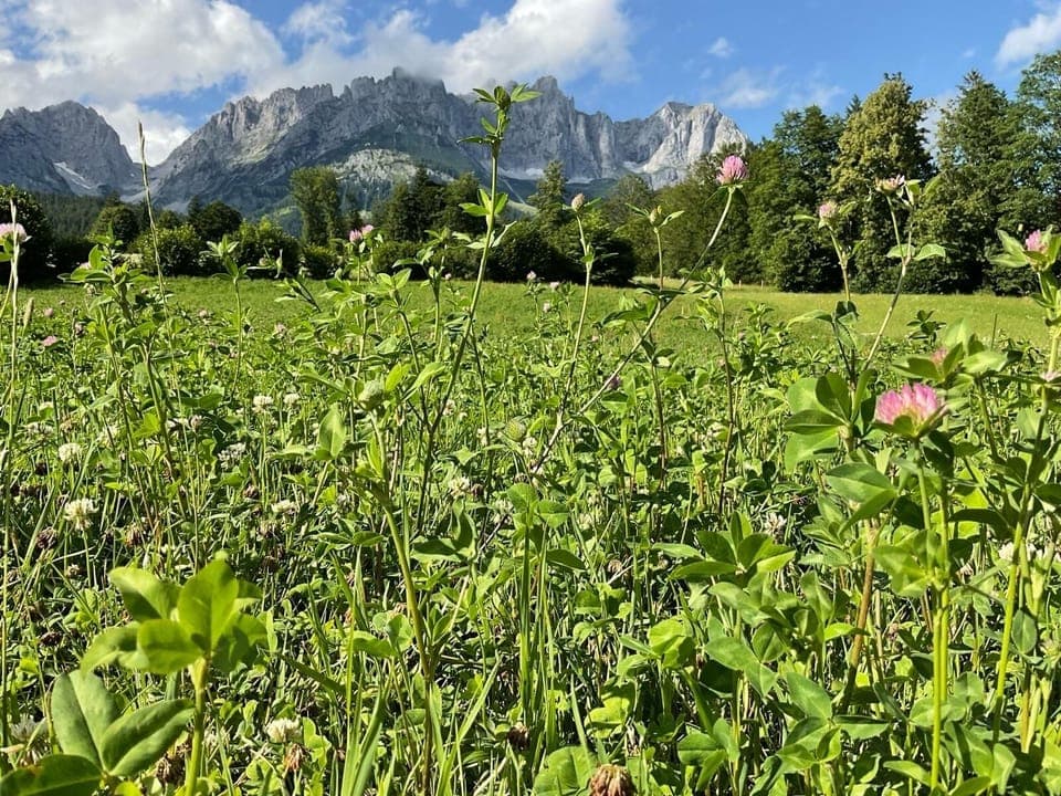 Land view from property
