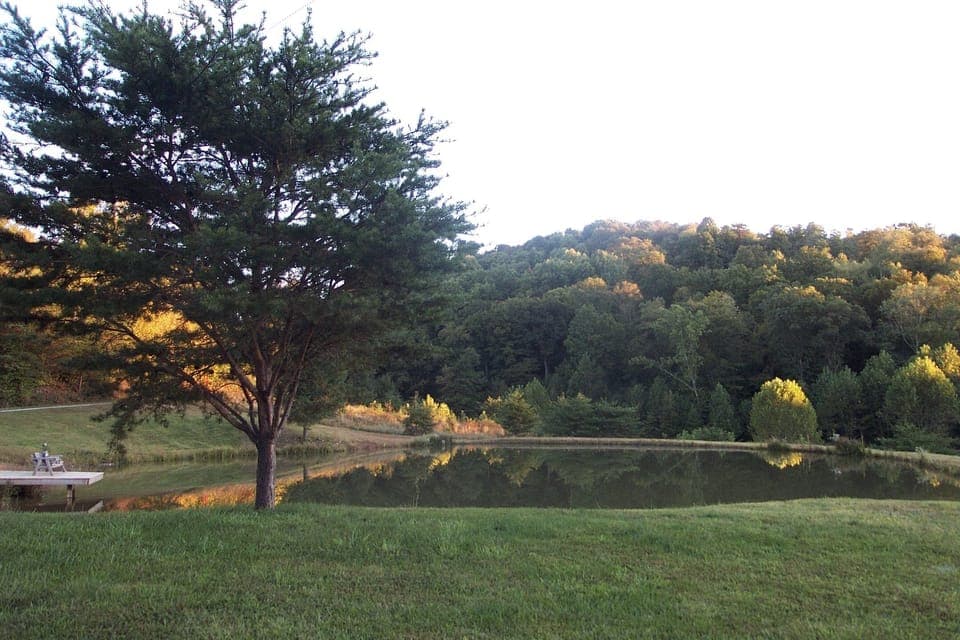 Private pond just a stroll down the drive
