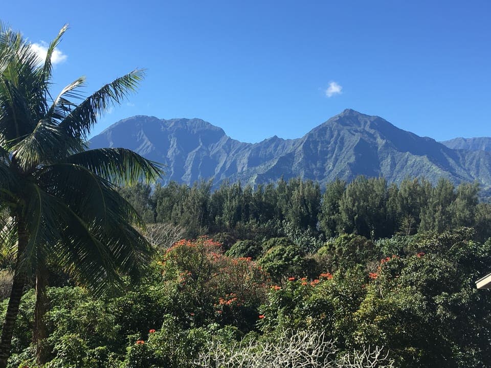 The mountains are exquisite! 