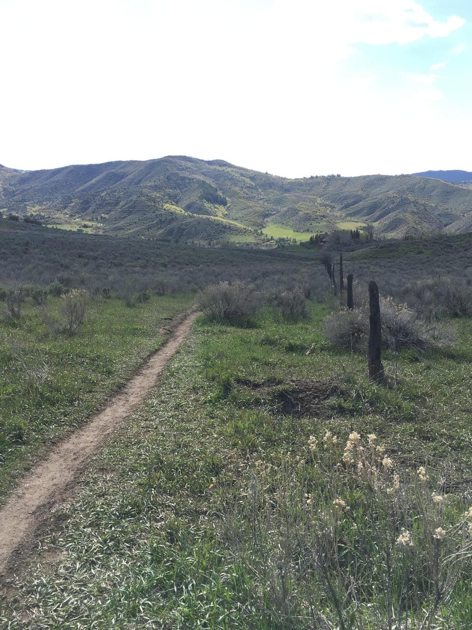 Open space in our neighborhood. Great for hiking and biking 
