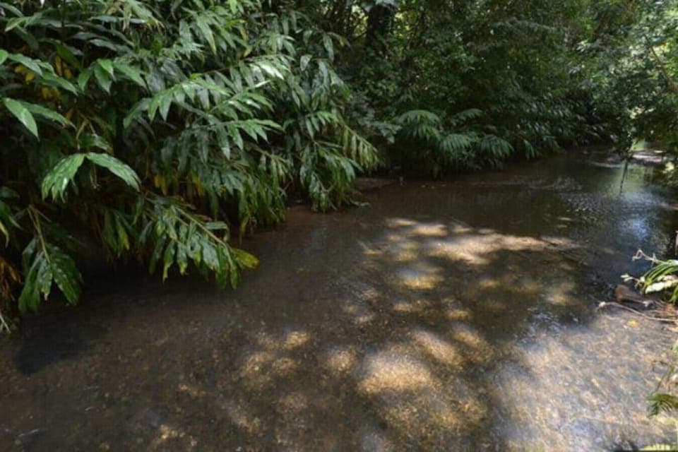 Look out over the Waiarohia Stream