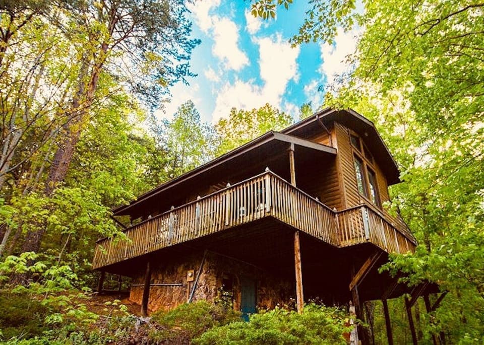 Cabin in the woods