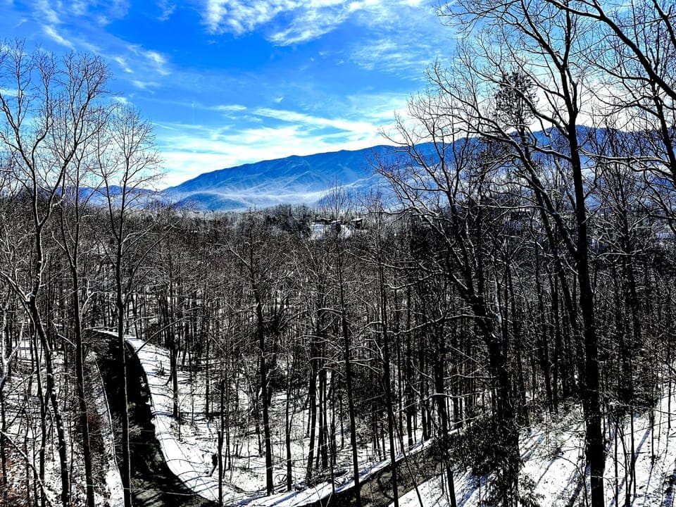 Winter view from upper deck