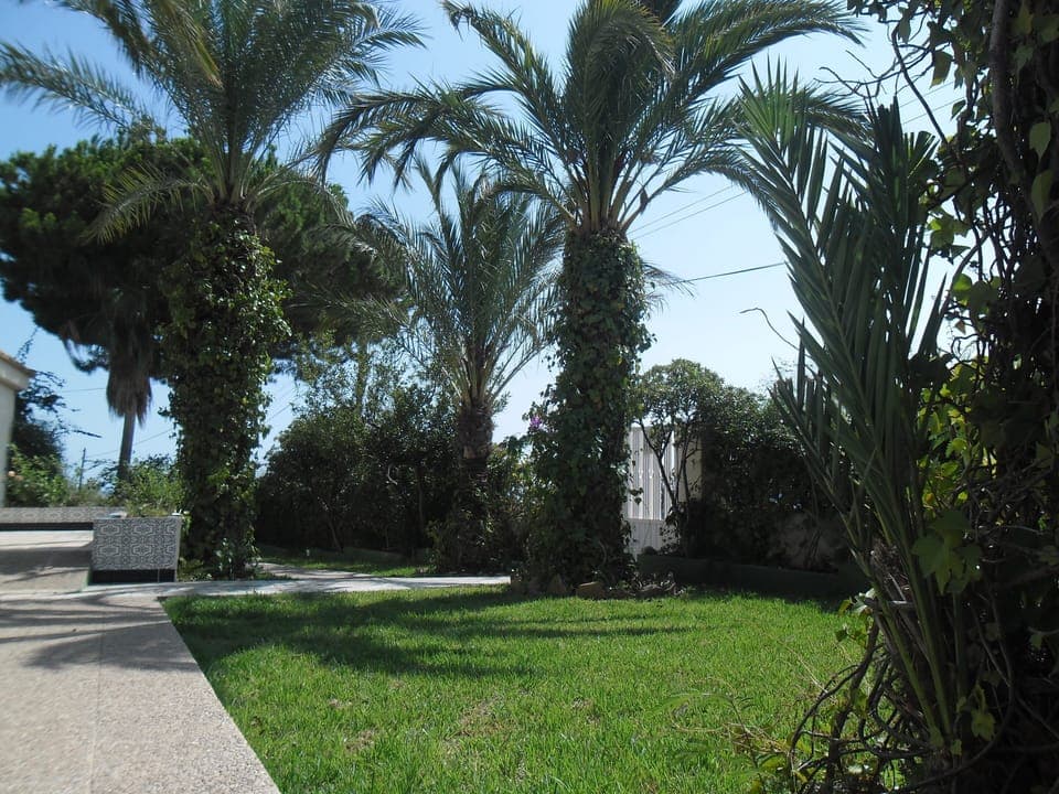 Property grounds