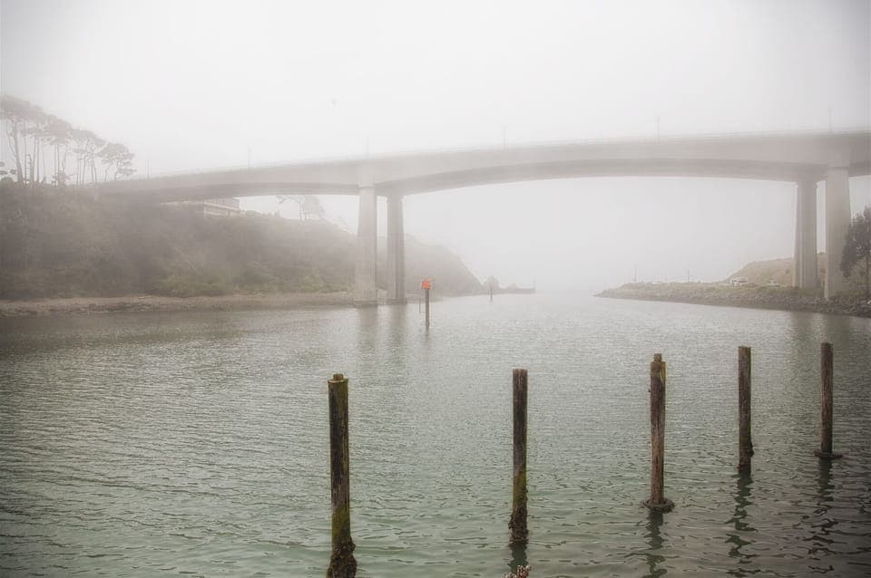 A view from the dock