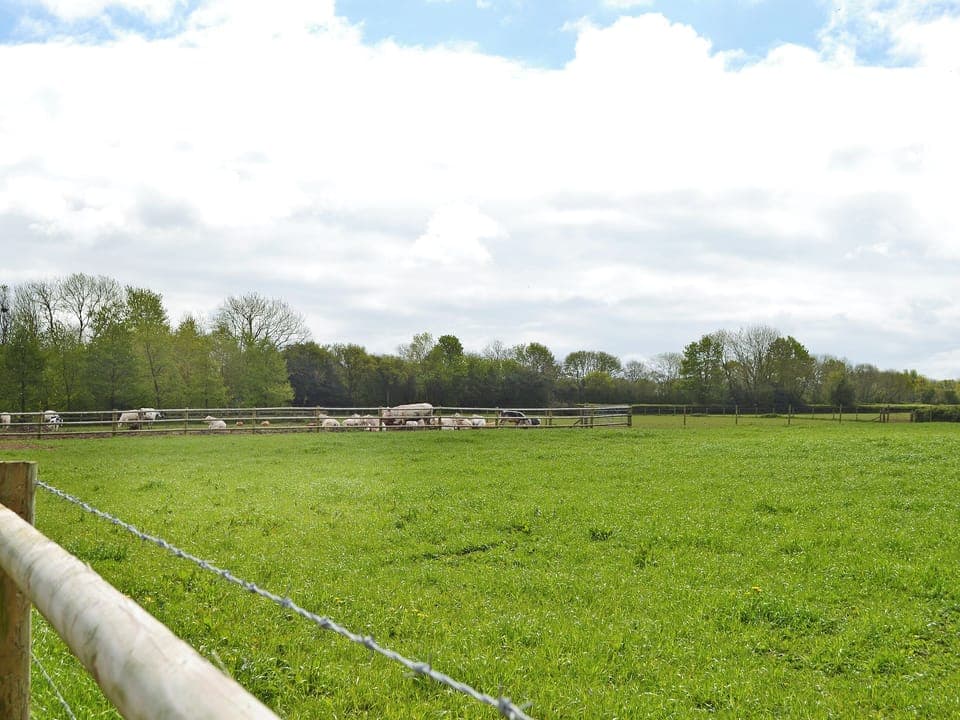 Wonderful surrounding area | Llama Lodge, Churchstanton, near Honiton