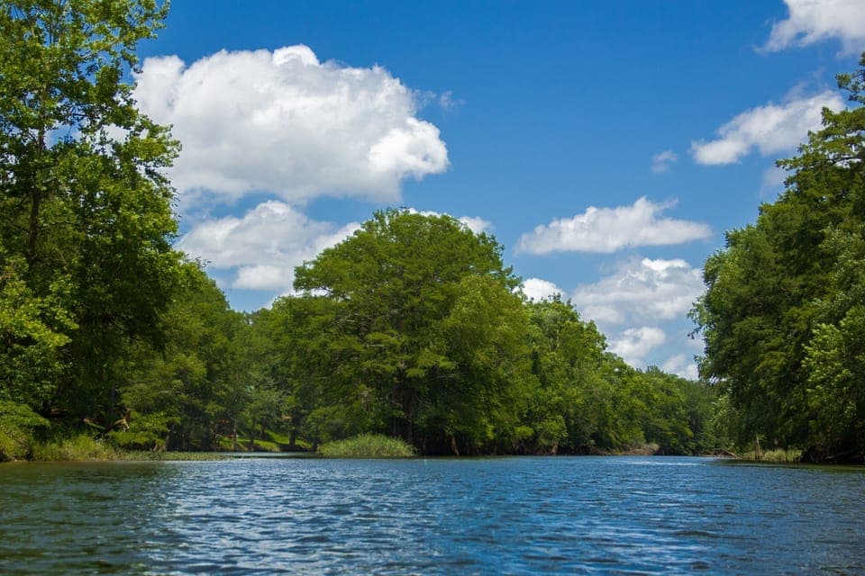 River view from a floatie!
