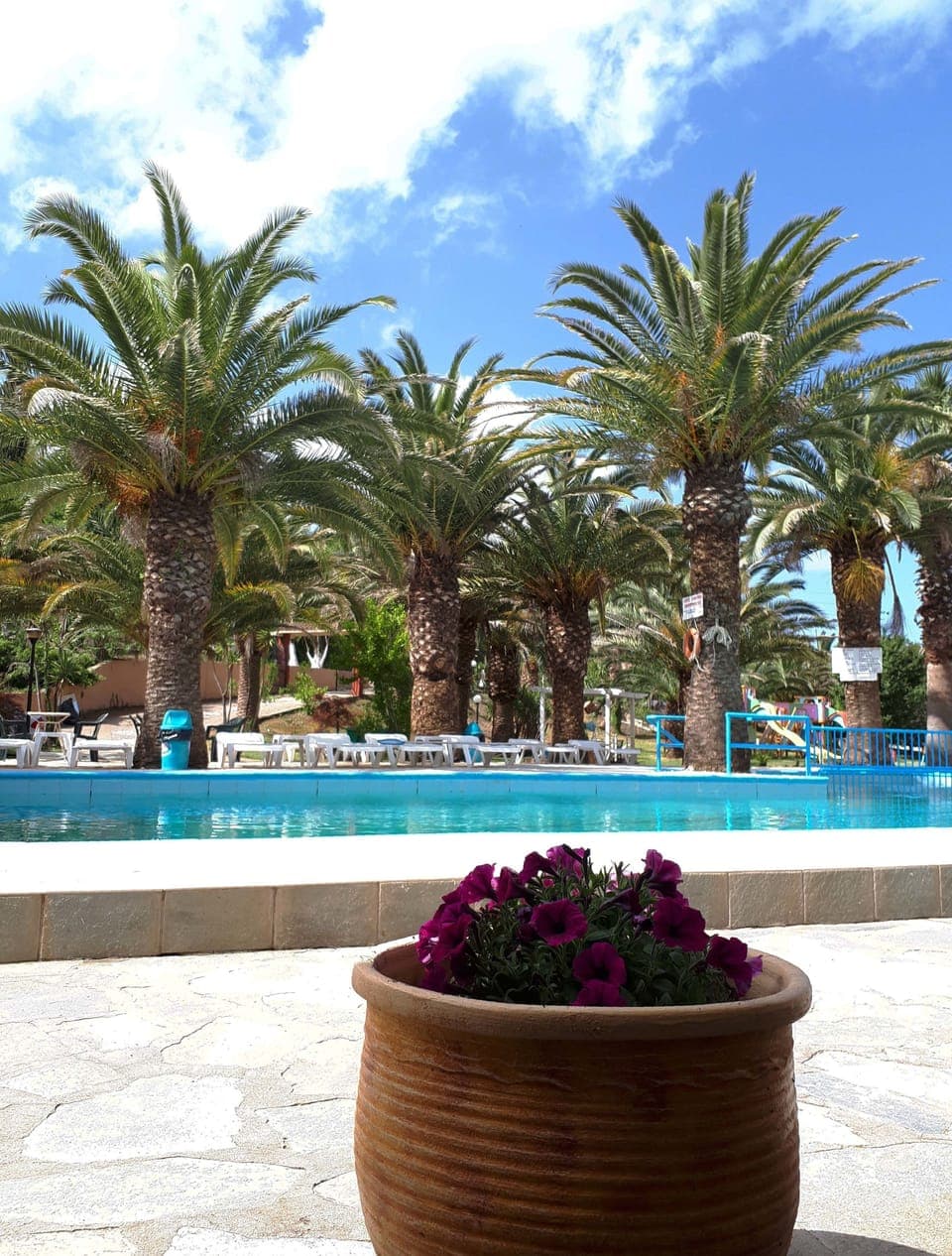 Seasonal outdoor pool, open 11:00 AM to 7:00 PM, sun loungers