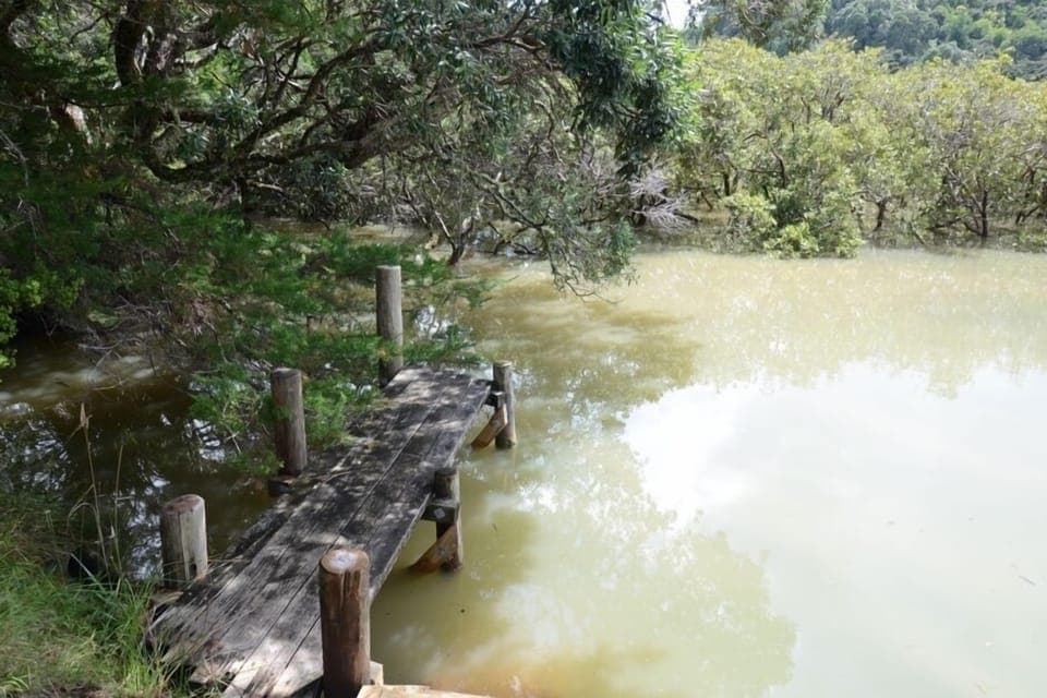 Jetty  from council access way from back yard 