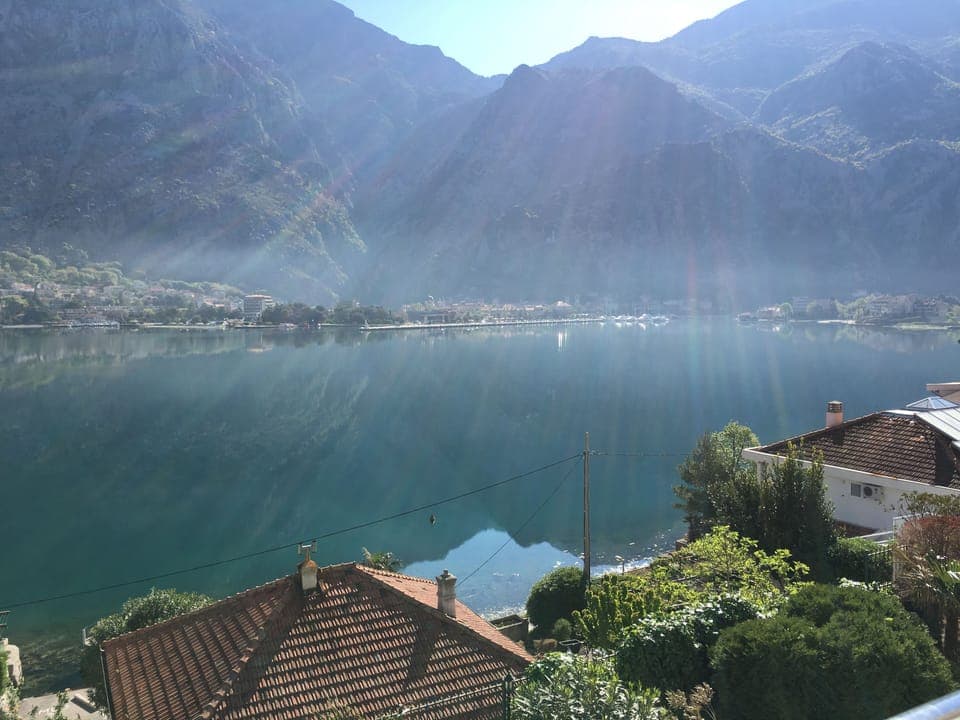 Enjoy this view with your morning coffee! 