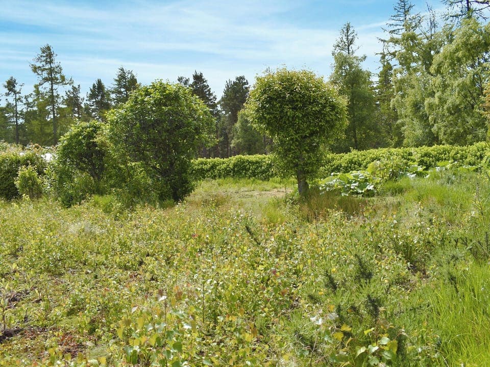 Surrounding area | Ben View, Orbliston, near Elgin