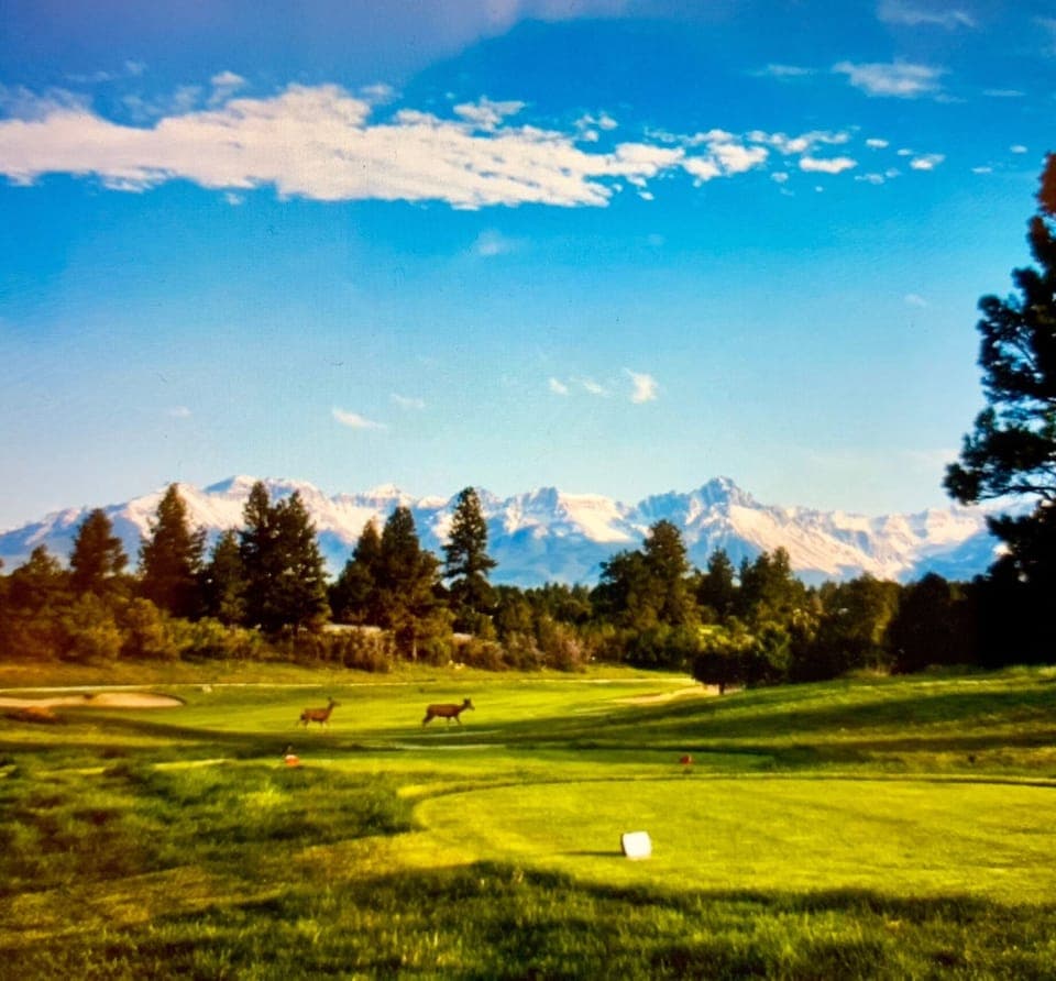 Golf