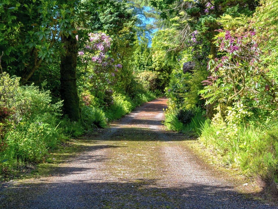 Driveway | Dunyvaig, Colintraive, near Dunoon