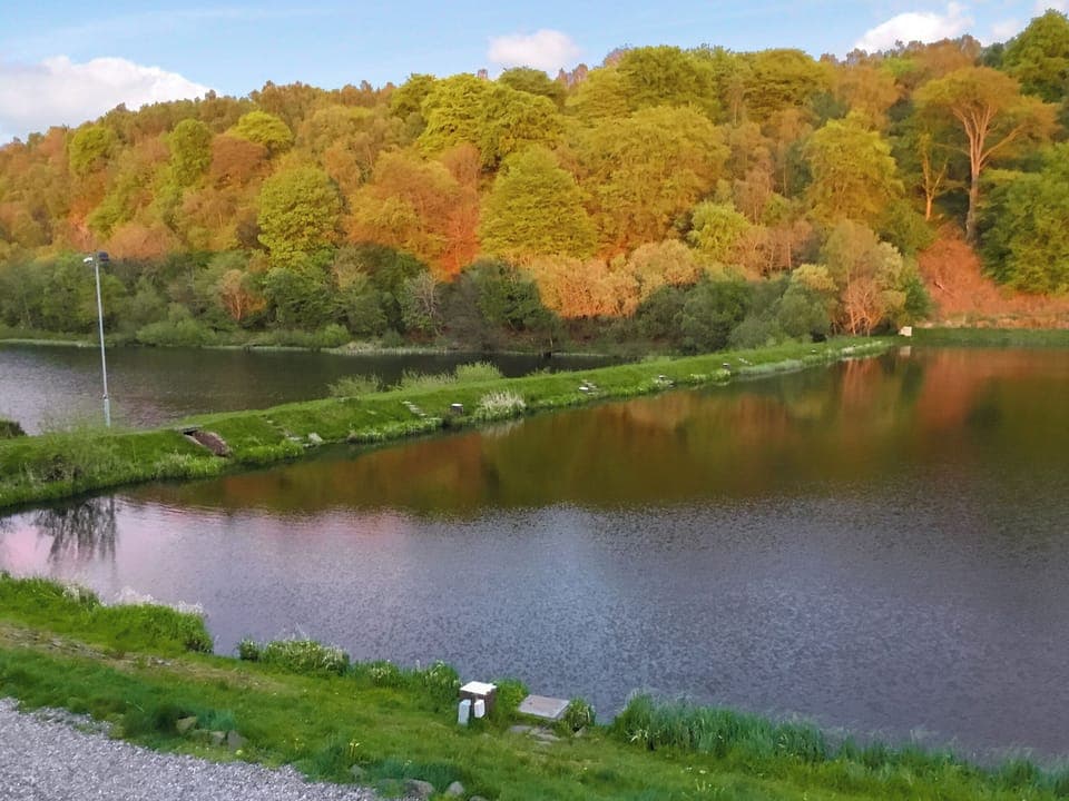 Glorious views over Carribber Loch and the surrounding woodland | Carribber Beech, Near Linlithgow