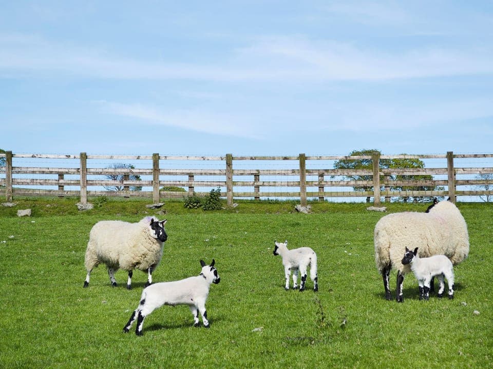 Truly magnificent location | Maes Y Bryn Farmhouse, Llansadwrn, near Llandeilo