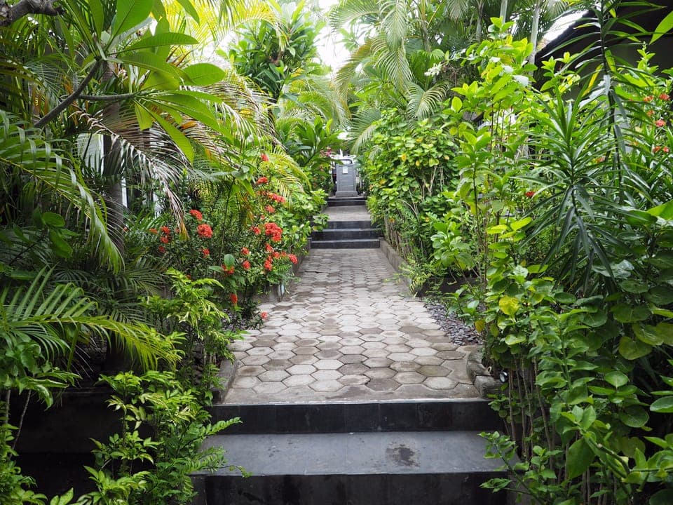 Standard Shared Dormitory | Garden view